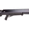 Benjamin Bulldog Magnum Series Bullpup