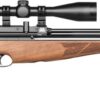 Air Arms HFT 500
