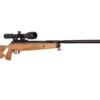 Benjamin Trail NP XL Air Rifle