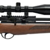 BSA BUCCANEER PRO REGULATED BEECH