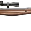 Stoeger RX20 S2 Wood Air Rifle
